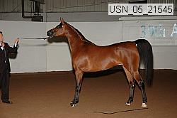 usn_05_21545 proof