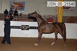 usn_05_21548 proof