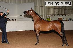 usn_05_21554 proof