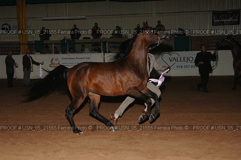 Proof usn_05_21555