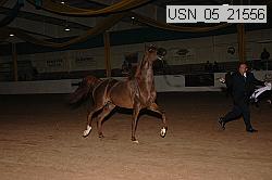 usn_05_21556 proof