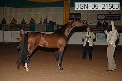 usn_05_21563 proof