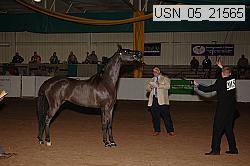 usn_05_21565 proof