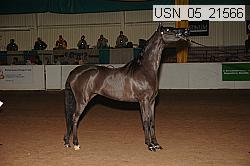 usn_05_21566 proof