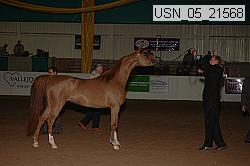 usn_05_21568 proof