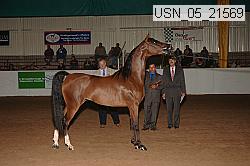 usn_05_21569 proof