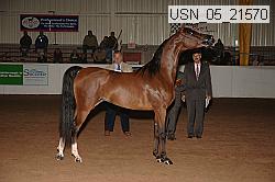 usn_05_21570 proof