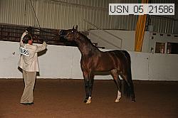 usn_05_21586 proof