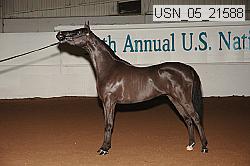 usn_05_21588 proof