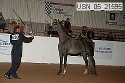 usn_05_21595 proof