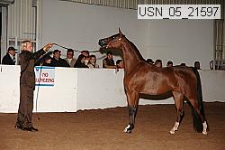 usn_05_21597 proof