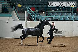 usn_05_17660 proof