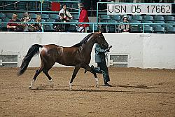 usn_05_17662 proof