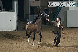 usn_05_17664 proof