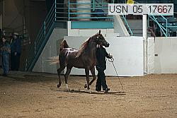 usn_05_17667 proof