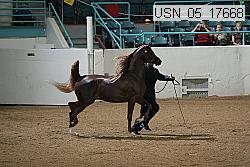 usn_05_17668 proof