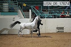 usn_05_17674 proof