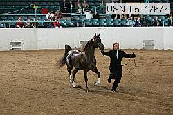 usn_05_17677 proof