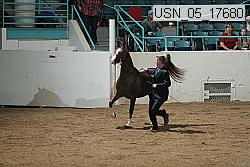 usn_05_17680 proof