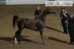 usn_05_17681 proof