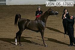 usn_05_17682 proof
