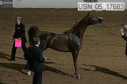 usn_05_17683 proof