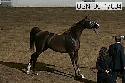usn_05_17684 proof