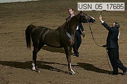 usn_05_17685 proof