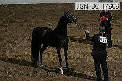 usn_05_17686 proof