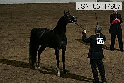 usn_05_17687 proof