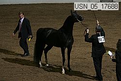 usn_05_17688 proof