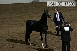 usn_05_17689 proof