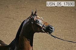 usn_05_17690 proof