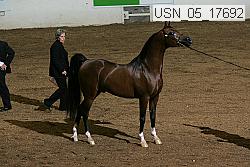 usn_05_17692 proof