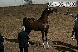 usn_05_17693 proof