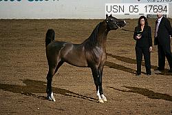 usn_05_17694 proof