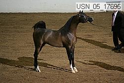 usn_05_17695 proof