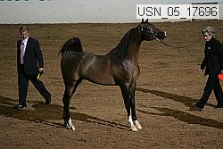 usn_05_17696 proof