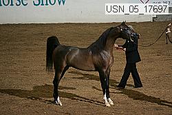 usn_05_17697 proof