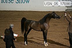 usn_05_17698 proof