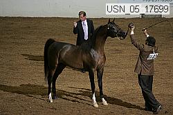 usn_05_17699 proof