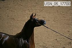 usn_05_17700 proof