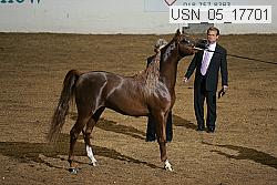 usn_05_17701 proof