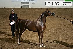 usn_05_17702 proof
