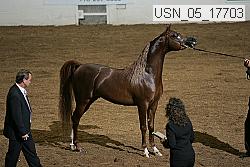 usn_05_17703 proof