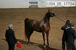 usn_05_17704 proof