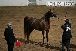 usn_05_17705 proof