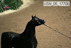 usn_05_17706 proof