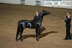 usn_05_17709 proof