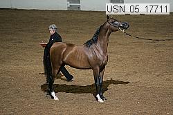 usn_05_17711 proof